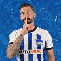 Marvin Plattenhardt Bundesliga GIF by Hertha BSC