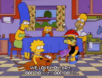 homer simpson episode 10 GIF