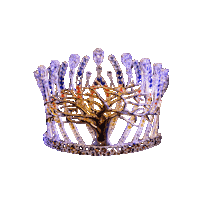 Queen Crown Sticker by Miss South Africa