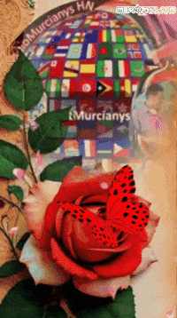Radio Musica GIF by Murcianys LLC