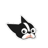 Boston Terrier Love Sticker by HeeDong