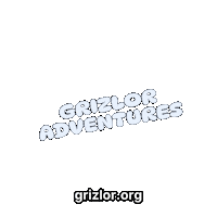 Fun Bear Sticker by grizlor