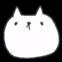 Shili920 cat ねこ にゃん しい GIF