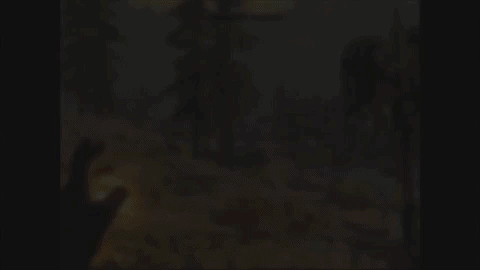 kyne's peace GIF