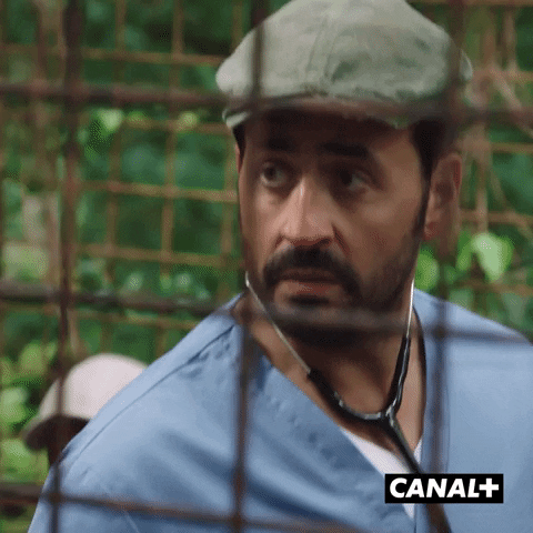 Fun Lol GIF by CANAL+