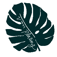 twentysevenlkld music van rachel monstera Sticker