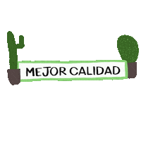 General Roca Flower Sticker