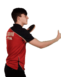 Table Tennis Fun Sticker by Ruhr Games