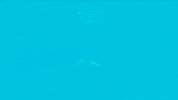 Music Video Swimming GIF by Caleb Hearn