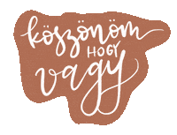 KalliUS szeretet koszonom kallius uhrinsari Sticker