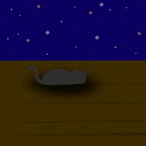 Good Night Sleeping Cat GIF