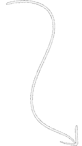 Arrow Doodle Sticker by Huddl Studio