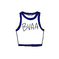 Bvaa Sticker