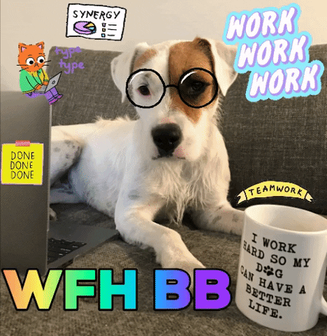 Work From Home Dog GIF by arielle-m