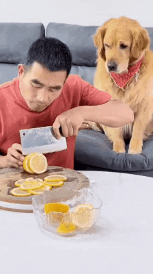 cuteanimalland giphyupload GIF