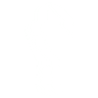 Allininclusion Sticker