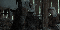 the witch horror GIF by A24
