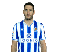 Realsociedad Zaldua Sticker by Real Sociedad de Fútbol