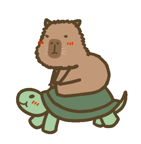 Turtle Capybara Sticker by yomoyeah