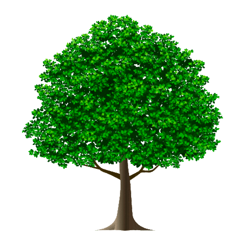 Tree Forest Sticker by eon_italia