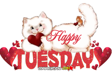 Tuesday Morning Sticker