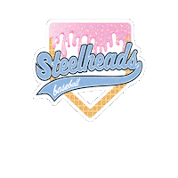 AllAmericanBaseball allamericanbaseball allamericansteelheads coachcharlie cspano Sticker