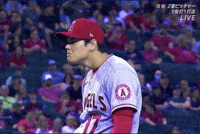 Face Expressions What GIF