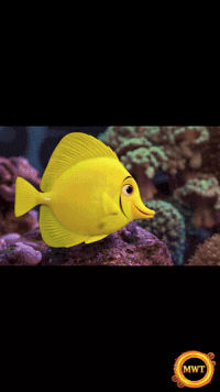 3Danimation GIF