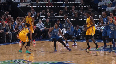 basketball GIF by WNBA