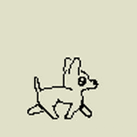 dog GIF by Dan Anthony Kelly