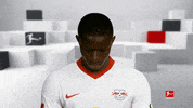 Line Up Smile GIF by Bundesliga