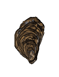 Rendesignca food ocean sea seafood Sticker