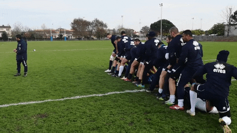 Agen_Rugby giphygifmaker sua top14 agen rugby GIF