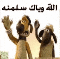 Good Night Iraq GIF