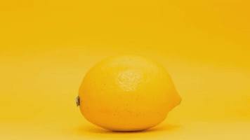 video editing top fonts 2019 GIF by Typito