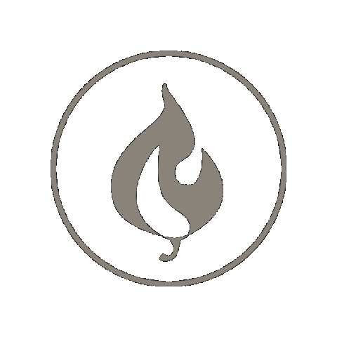 Fire Icon Sticker by youtheory