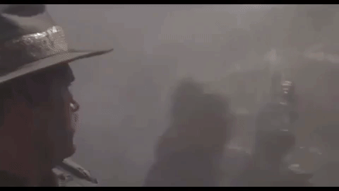 predator you got time to duck? GIF