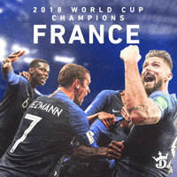 France Soccer GIF by DraftKings