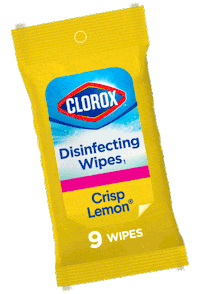 On The Go Travel Sticker by Clorox