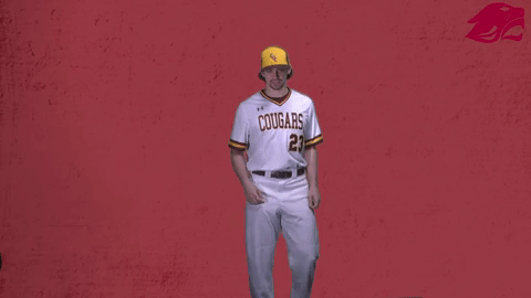 baseball GIF
