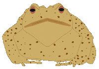 Illustration Gif Artist Sticker