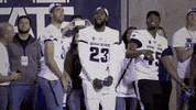 Aggiesalltheway GIF by USUAthletics