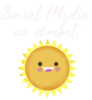 Soare Sticker