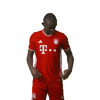 Proud Football Sticker by FC Bayern Munich