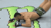 Johnny Walker Sport GIF by UFC
