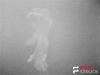 jean vigo dancing GIF by FilmStruck