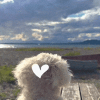 Dog Camping GIF