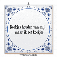 Humor Nl GIF by Tegelspreuken.nl