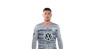 Pavao Pervan Soccer Sticker by VfL Wolfsburg