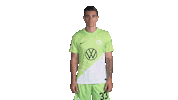 Well Done Good Job Sticker by VfL Wolfsburg